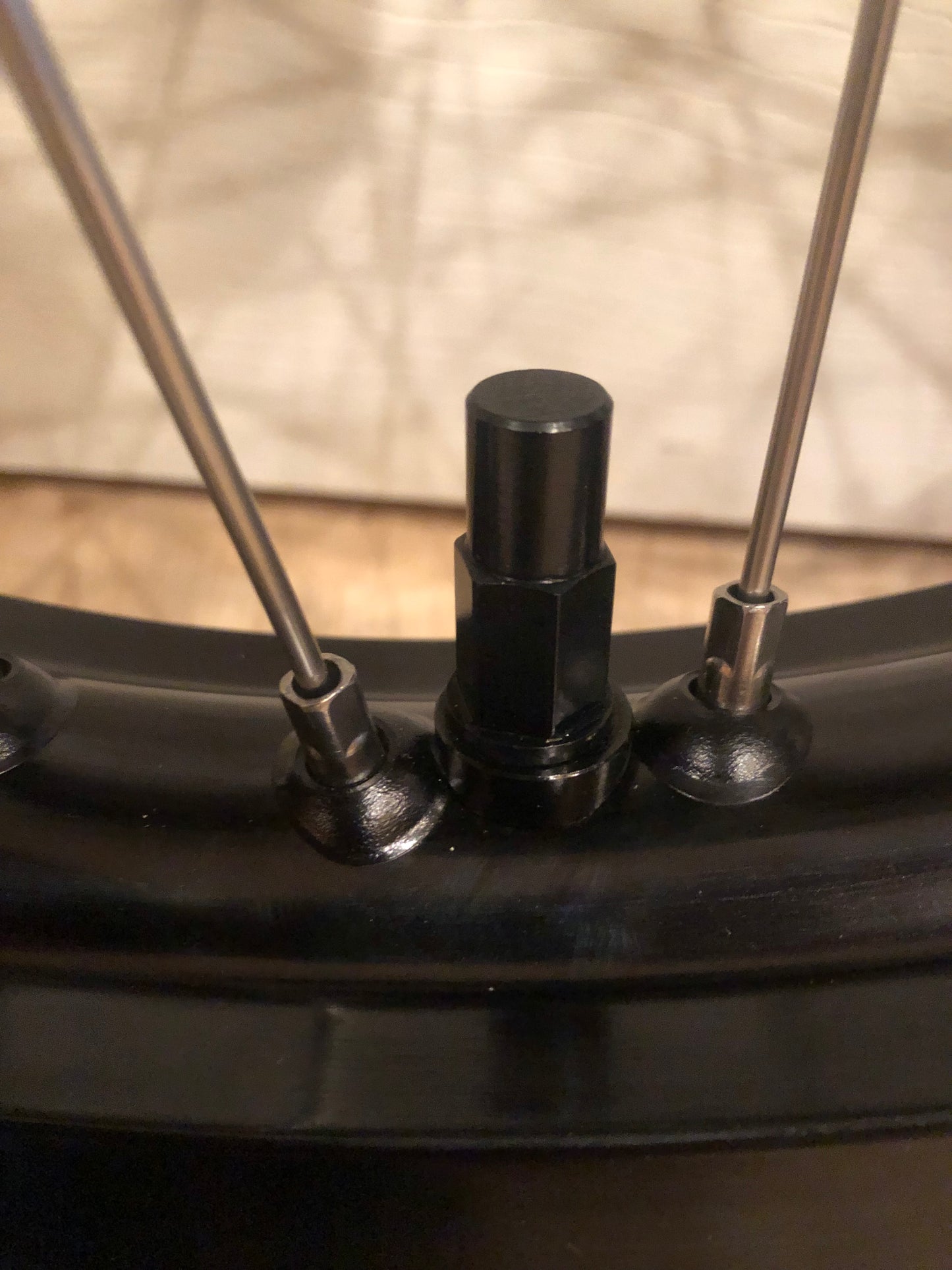 Talaria Sting 17 inch rear wheel with 100 wide tire!